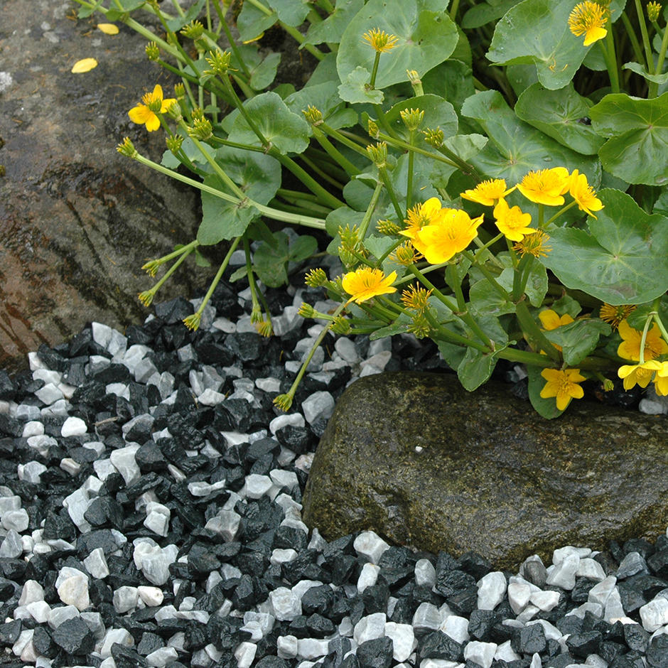 Black Ice Chippings 20mm garden feature with rockery